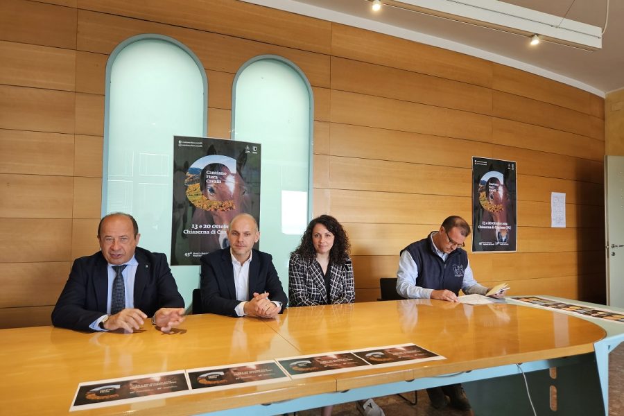 Il cavallo del Catria, spettacoli, tipicità: il 13 e 20 ottobre Cantiano Fiera Cavalli