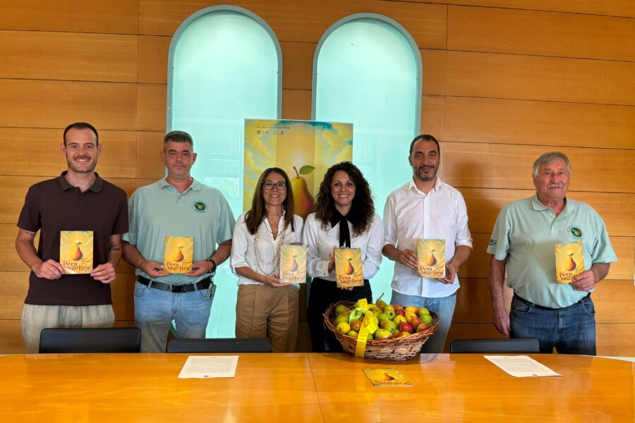 Torna la Festa della Pera Angelica di Serrungarina